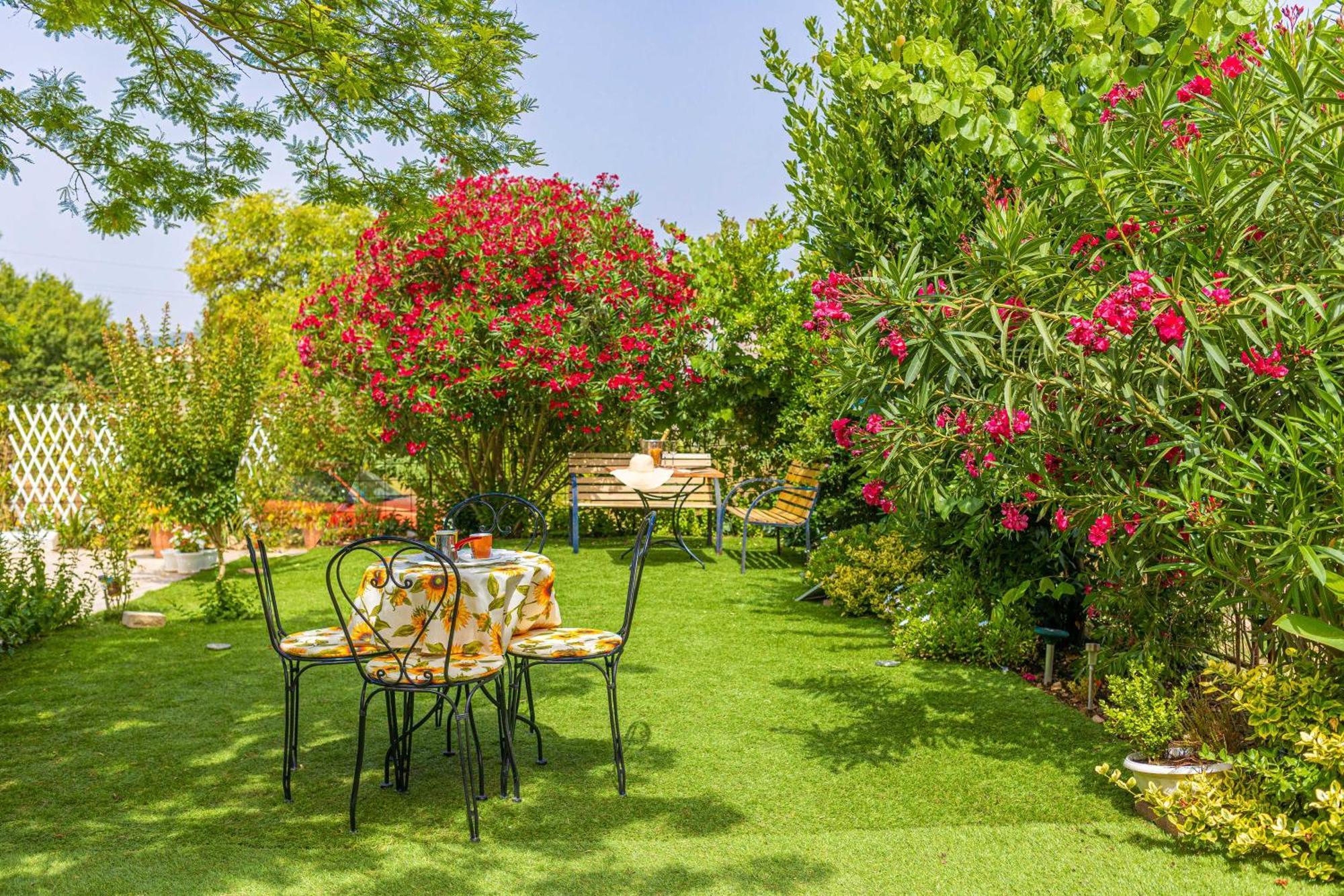 Villa Rosa Jelsa  Extérieur photo